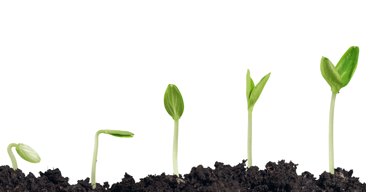 Virtual assistant for coaches to enable strategic growth Virtual assistant for coaches to enable strategic growth